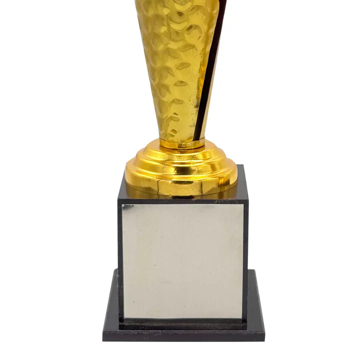 Crystal Gold Cricket Trophy - Image 3