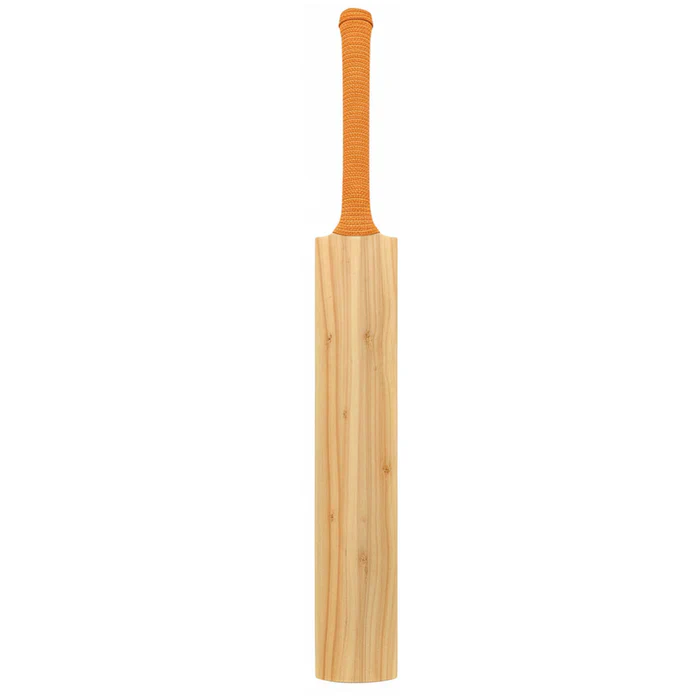 DS 1.0 Kashmir Willow Cricket Bat - Image 2