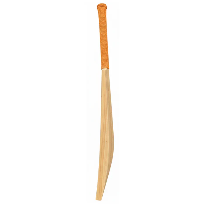 DS 1.0 Kashmir Willow Cricket Bat - Image 3