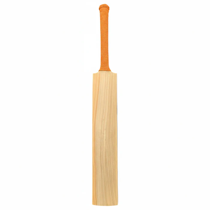 DS 1.0 Kashmir Willow Cricket Bat - Image 4