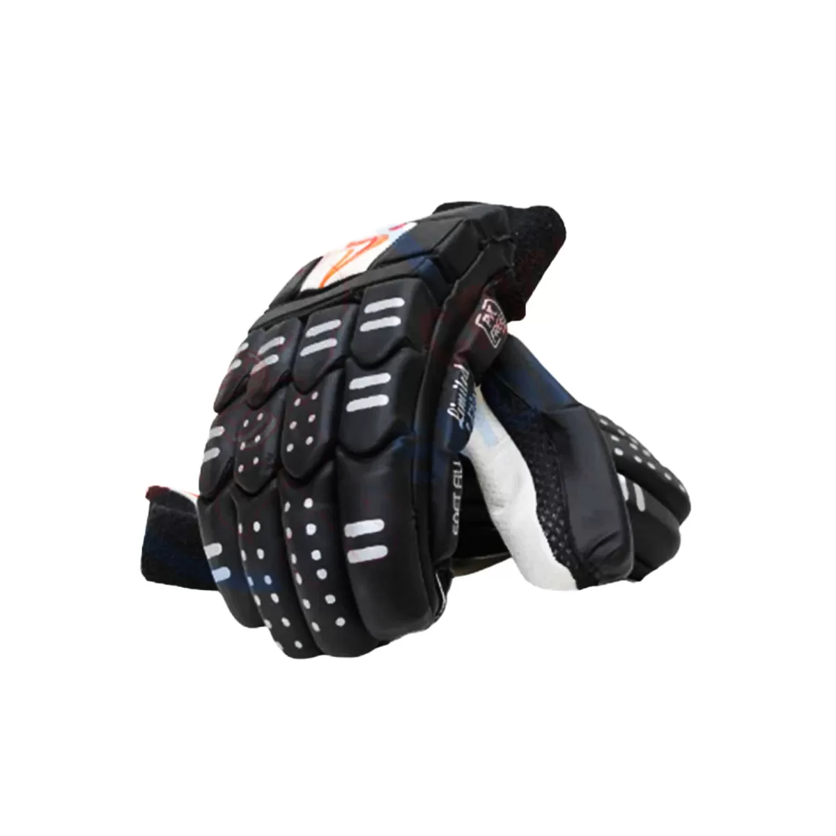 DS Black Cricket Pads And Gloves Set - Image 4