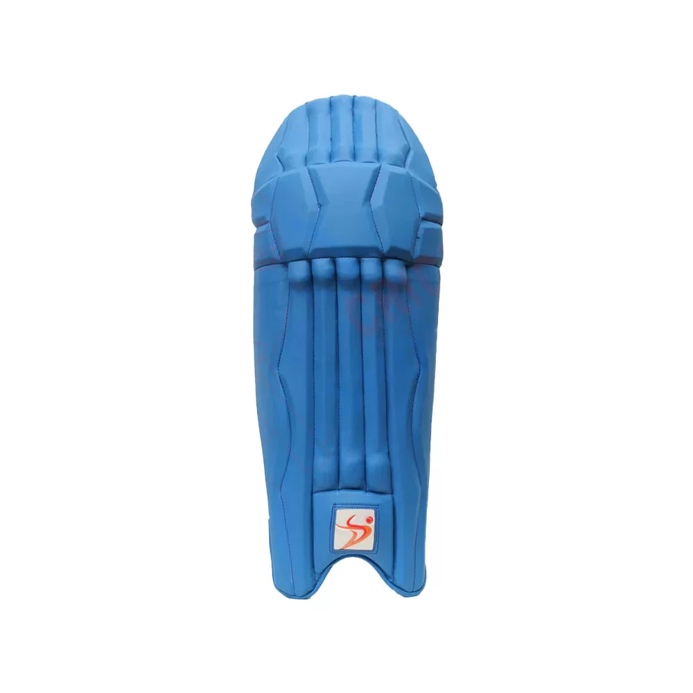 DS Blue Cricket Pads And Gloves Set - Image 6