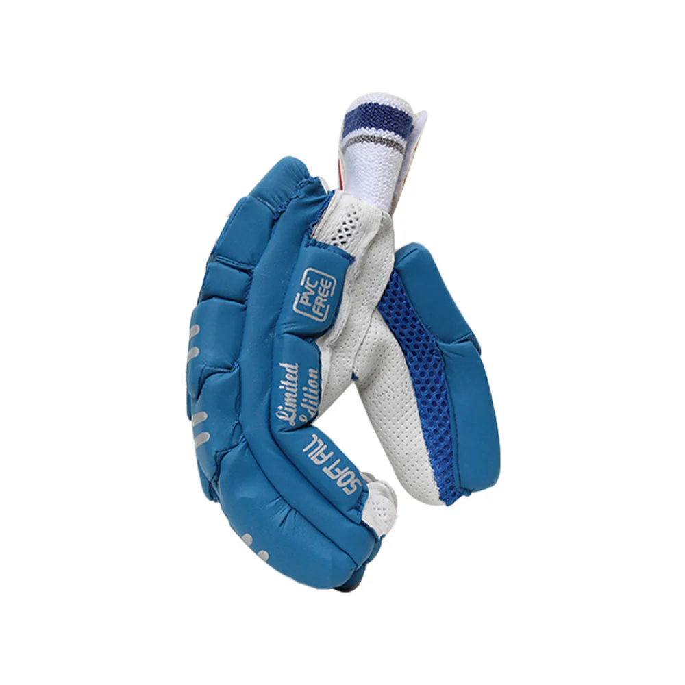 DS Blue Cricket Pads And Gloves Set - Image 8
