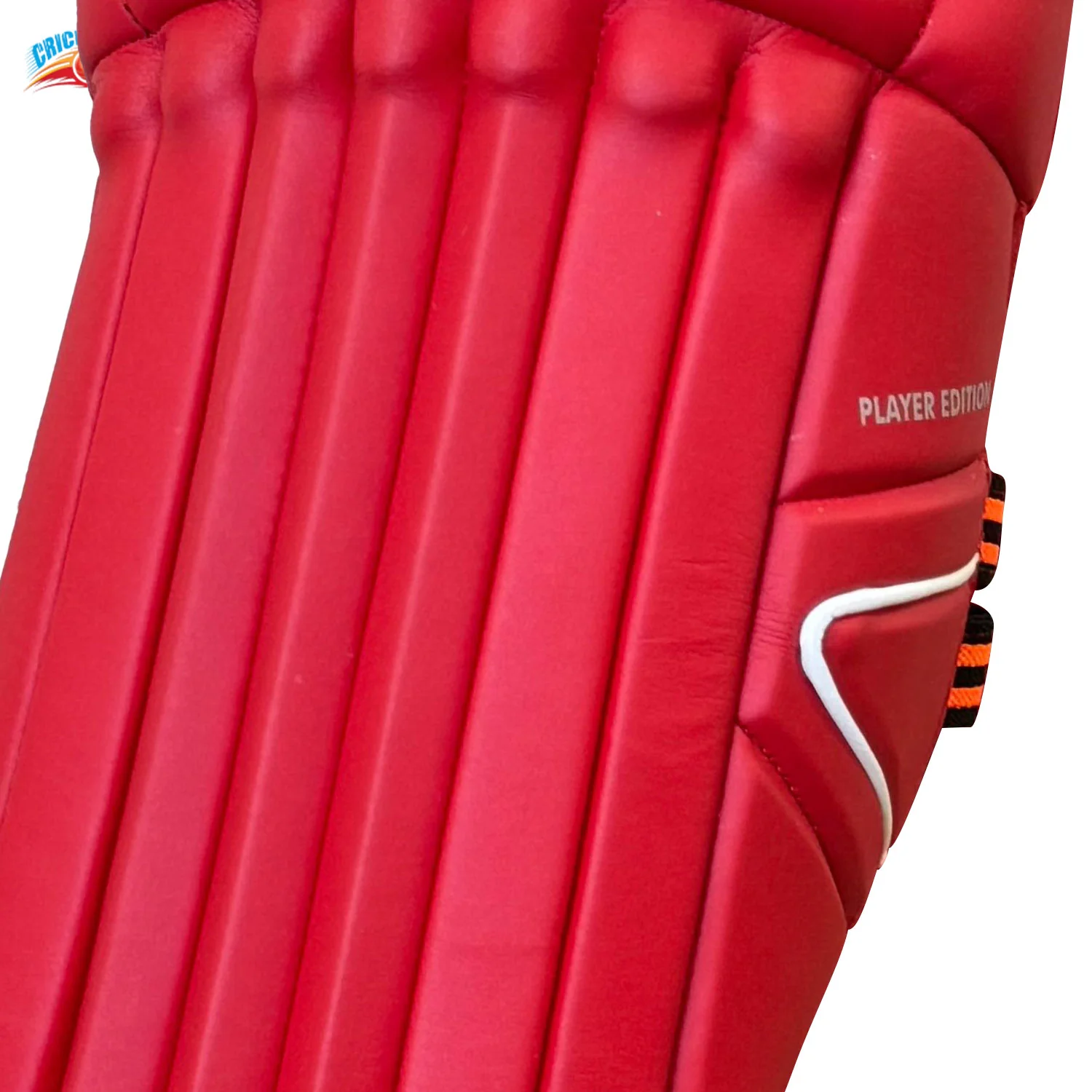 DS Red Cricket Batting Pads Adult - Image 14