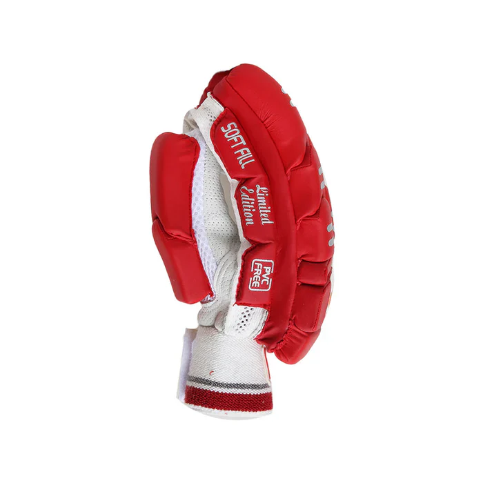 DS Red Cricket Pads And Gloves Set - Image 8
