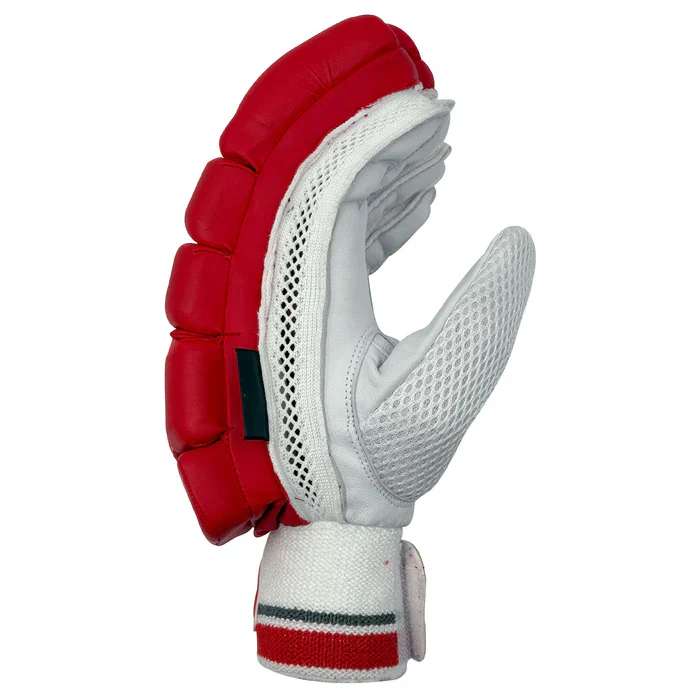 DS T/20 Limited Edition Batting Gloves Red - Image 2