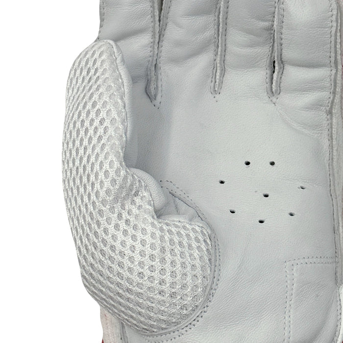 DS T/20 Limited Edition Batting Gloves Red - Image 5