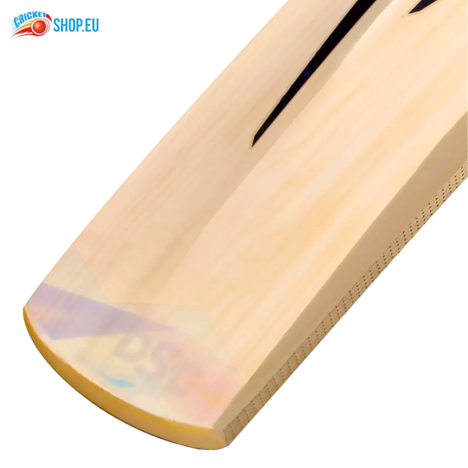DSC Condor Blitzer Kashmir Willow Cricket Bat - Image 6