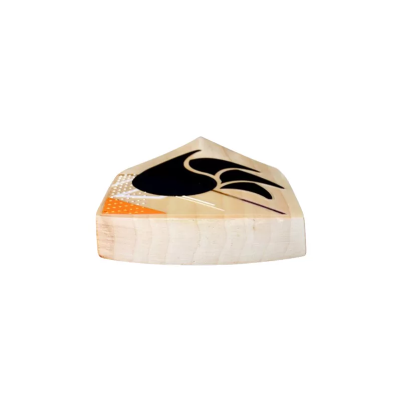 DSC Krunch 9.0 English Willow Cricket Bat - Image 3