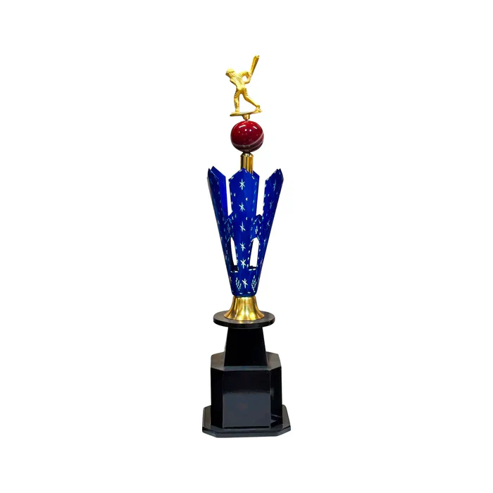 Elite Star Cricket Trophy - Image 3