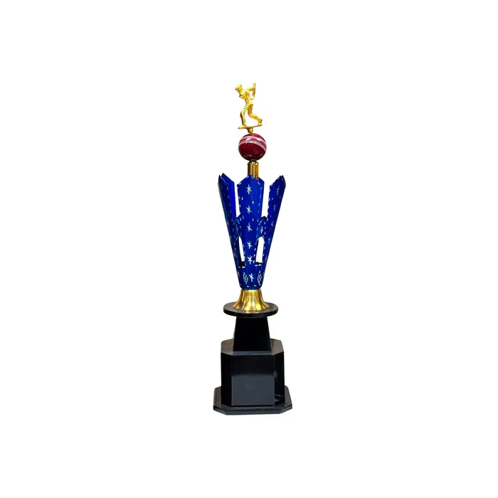 Elite Star Cricket Trophy - Image 4