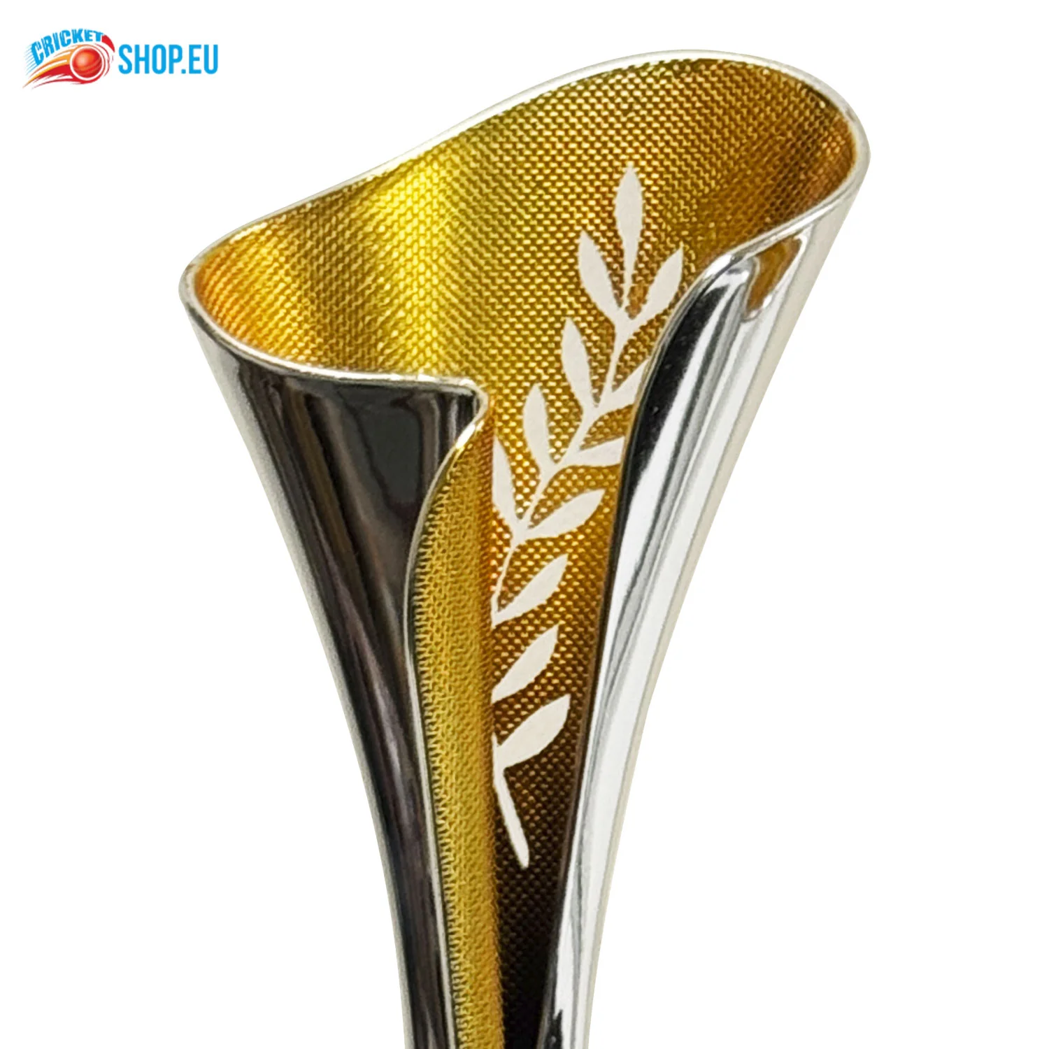 IFA Cricket Trophy - Image 6