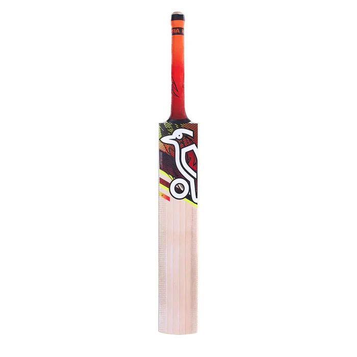 Kookaburra Beast 9.1 Kashmir Willow Junior Cricket Bat - Image 3