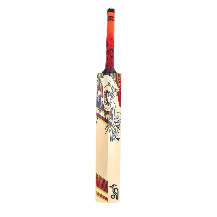 Kookaburra Beast 9.1 Kashmir Willow Junior Cricket Bat - Image 4
