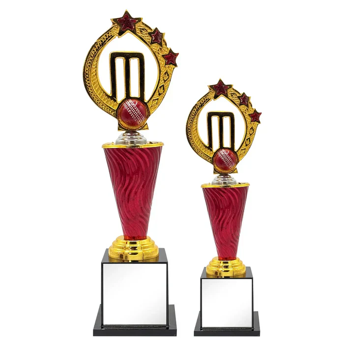 Power Play Cricket Trophy - Image 2