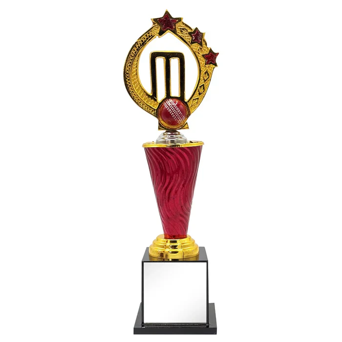 Power Play Cricket Trophy - Image 4