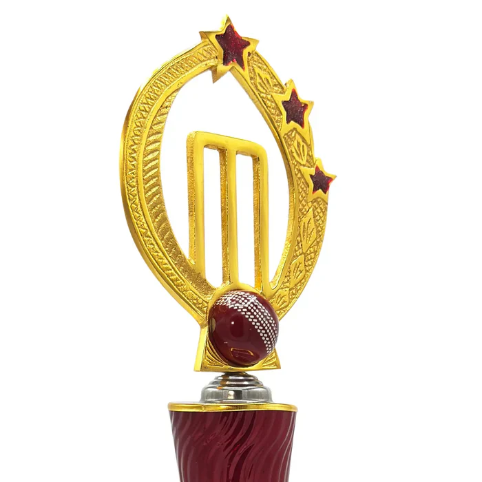Power Play Cricket Trophy - Image 5