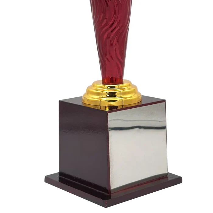 Power Play Cricket Trophy - Image 6