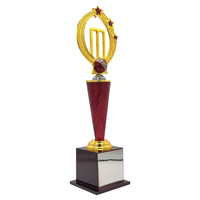 Power Play Cricket Trophy - Image 7