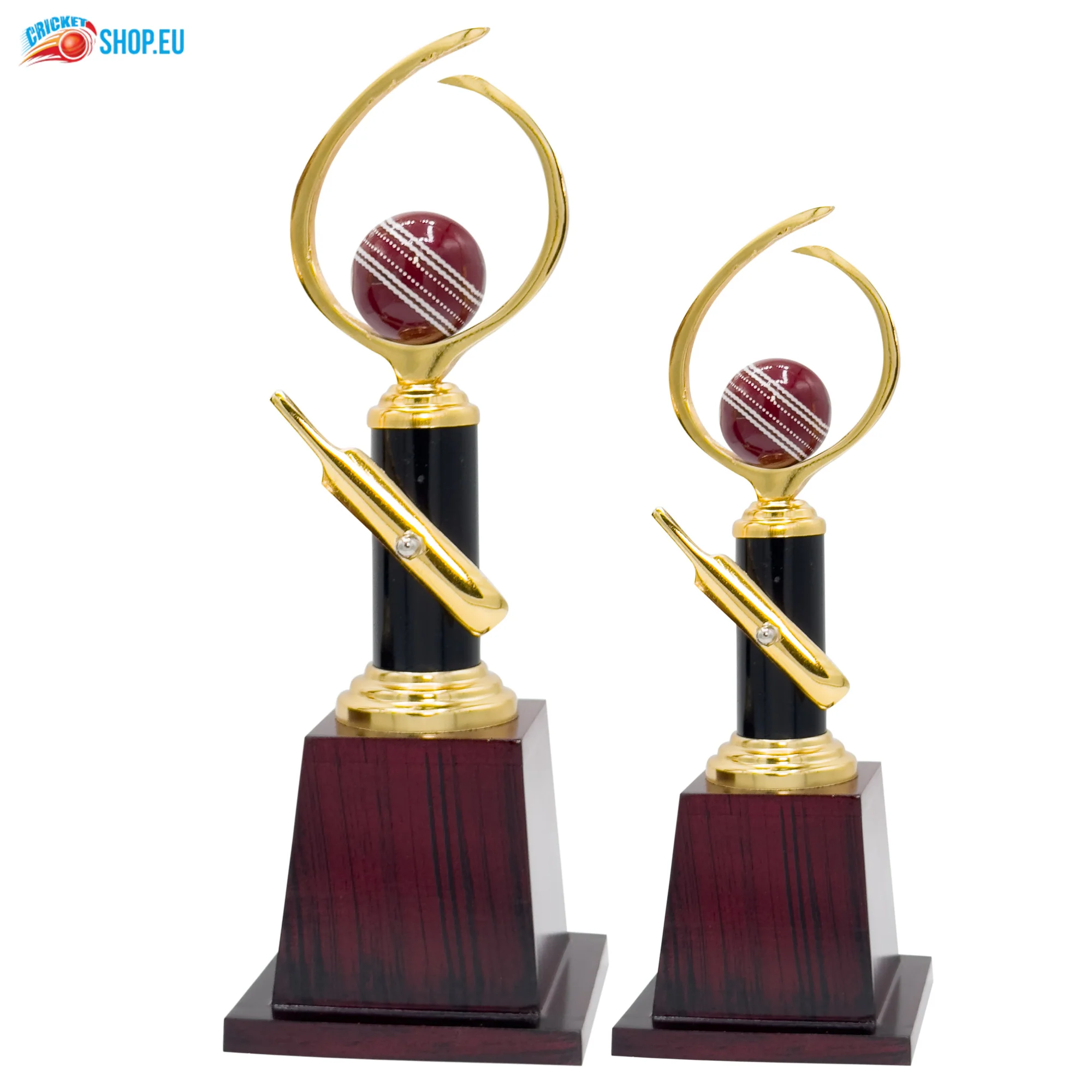 Pro Cricket Trophy-272