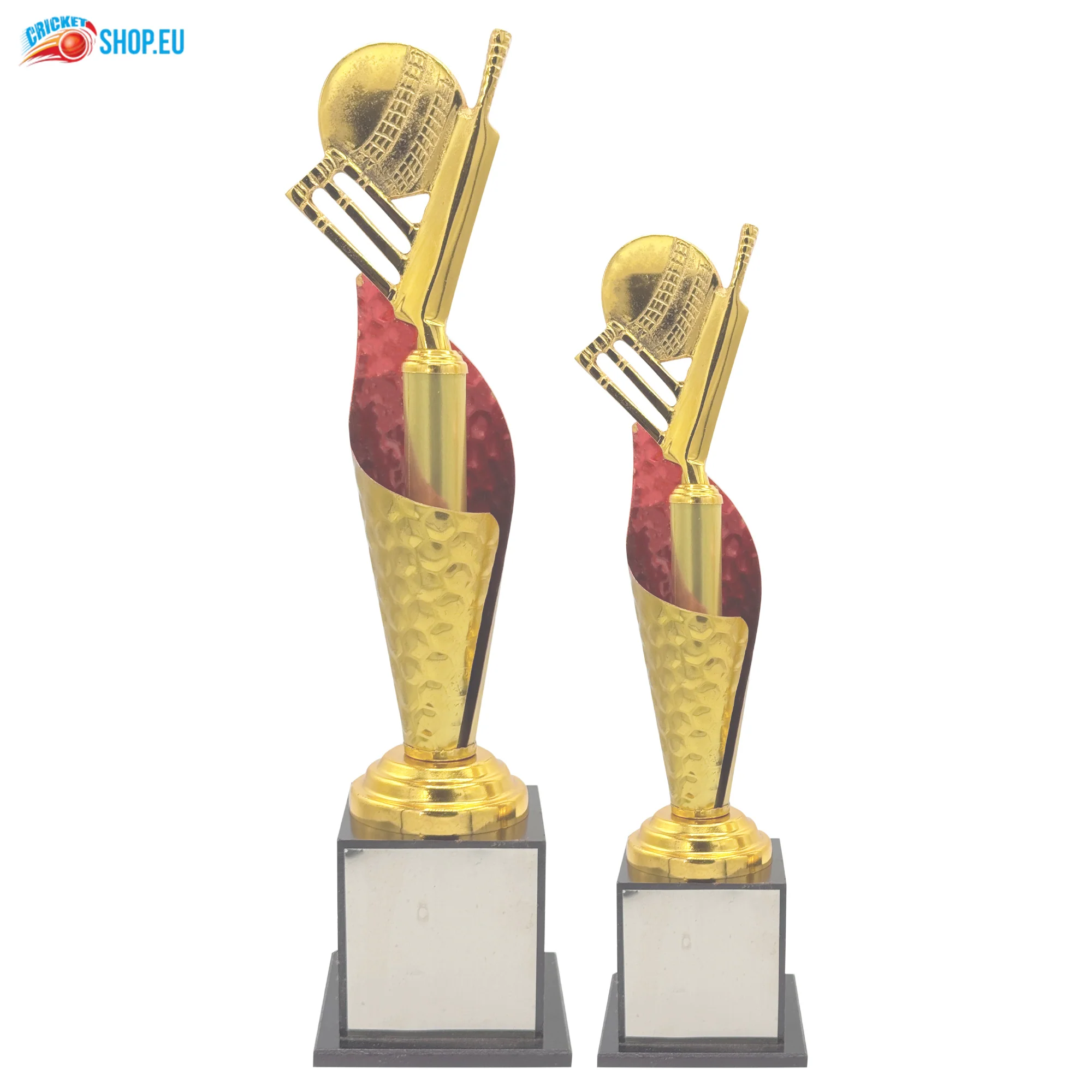 Sporty Cricket Trophy - Image 5