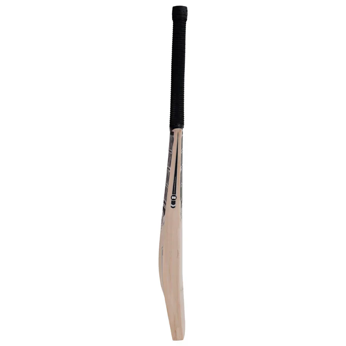 SS Premium Silver Kashmir Willow Cricket Bat - Image 3