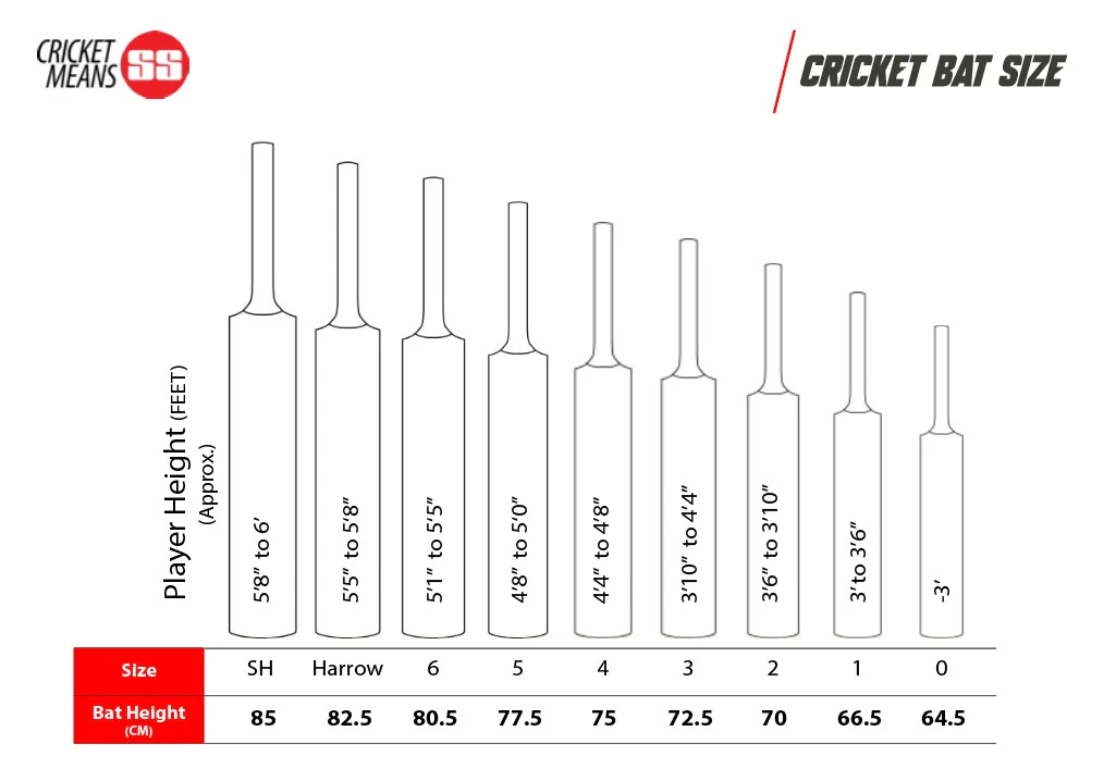 SS Sky Thunder Kashmir Willow Cricket Bat SH - Image 5