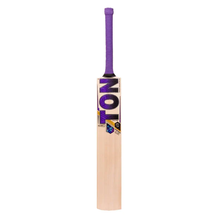 SS Ton Glory English Willow Cricket Bat SH - Image 2