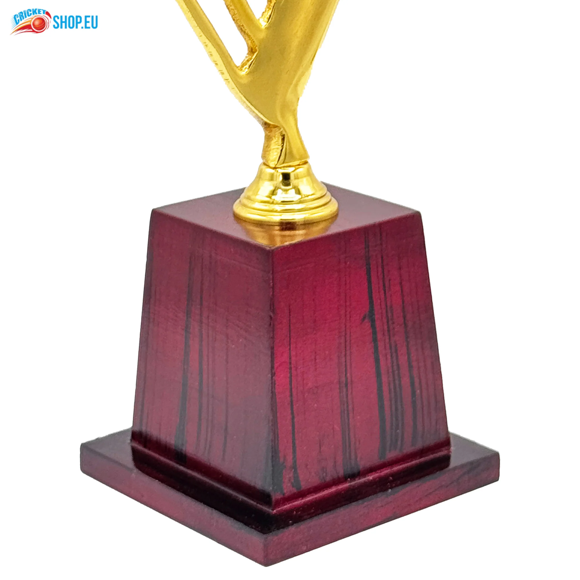 Star Cricket Trophy-266 - Image 7