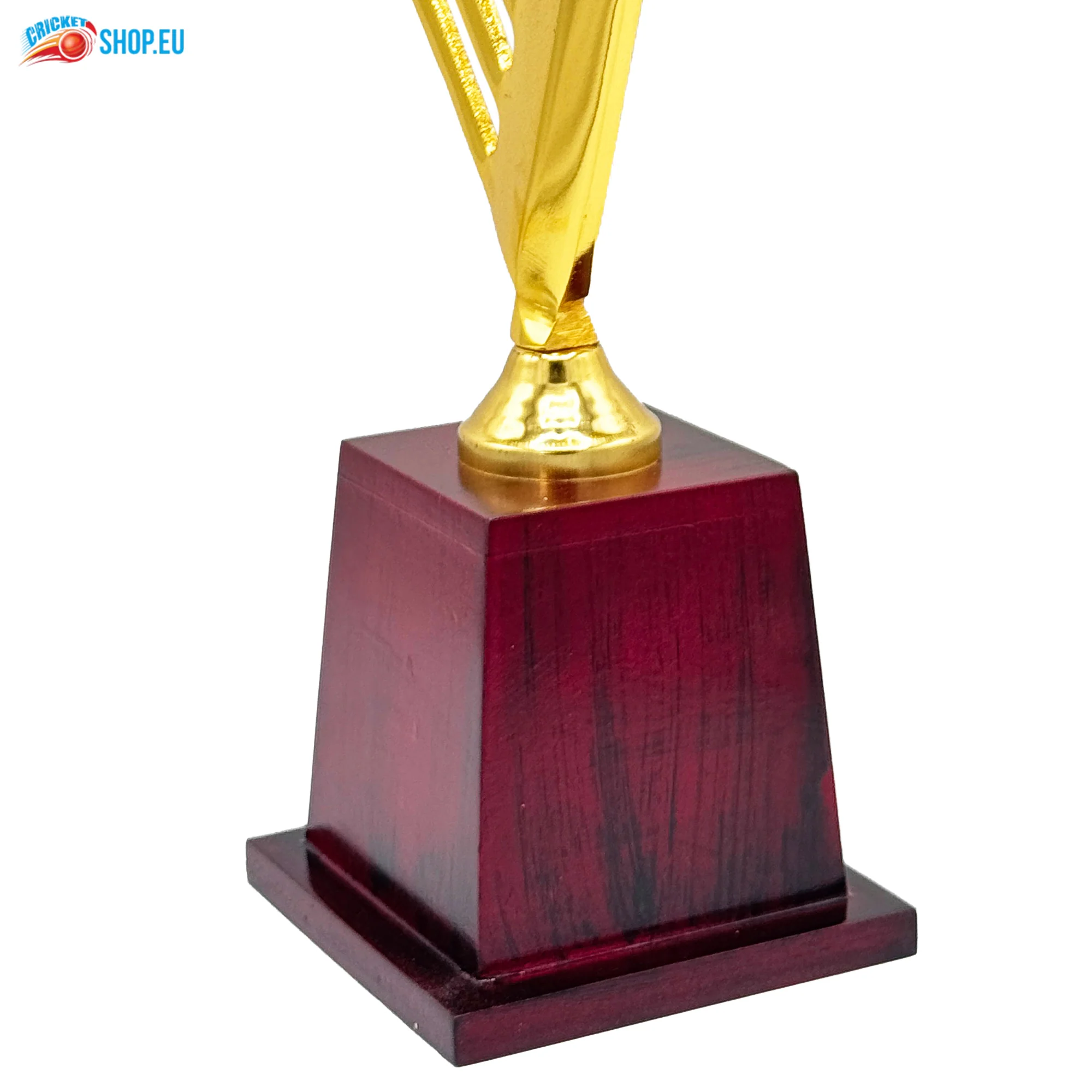Star Cricket Trophy-266 - Image 9